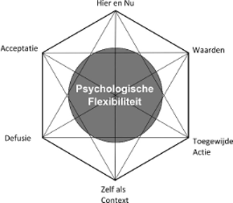Hexaflex met de 6 componenten van ACT - Bron www.actinactie.nl